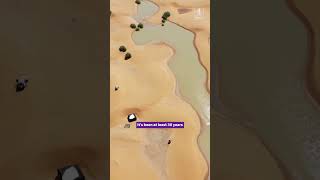 Sahara Desert floods [upl. by Annahsit587]