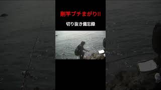 【石鯛釣り備忘録】ドラグ出まくり強烈舞い込み！！ 石鯛釣り 舞い込み 伊豆半島 [upl. by Aicilla]