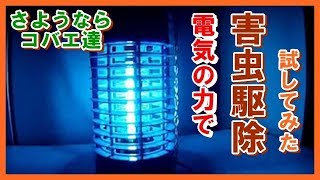 電撃殺虫器で害虫のコバエを退治する 害虫駆除 No1 [upl. by Campy754]