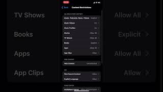 How to Turn Safe Search Mode ON and Off on iPhone 2024 New Method [upl. by Pelage]