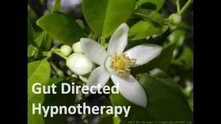 Gut Directed Hypnotherapy [upl. by Duntson911]