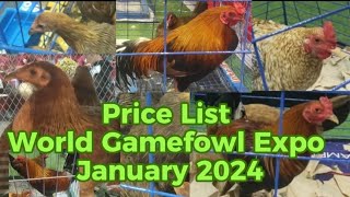 Philippines World Gamefowl Expo 2024 [upl. by Enaht]