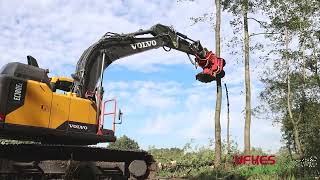 Cirkelzaag Bomengrijper  Groeneveldt Grijpers  Ufkes Greentec  Tree Felling [upl. by Pazit]