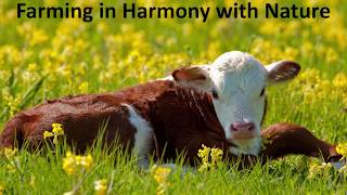 Farming in Harmony with Nature  Harmony Conference 2017 [upl. by Ellinnet490]