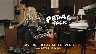 Pedal Talk Ep 04  Caverns Delay and Reverb with Peter Jenkins [upl. by Ardme]