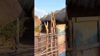 Whats Hiding Behind Tanzanias Peaceful Villages [upl. by Cherlyn]