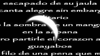 Carlos Vives Noche Sin Lucero con letra [upl. by Irot538]