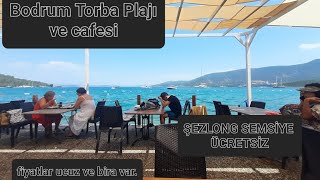 Bodrum torba halk plajı ve cafesi şezlong şemsiye ücretsiz yiyecek içecek ucuz bira var [upl. by Rawdin901]