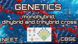 Monohybrid Dihybrid Trihybrid Cross  GENETICS  CBSENEET [upl. by Byers707]