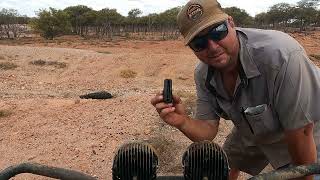 Awesome Hunting The Most Destructive Pest In AUSTRALIA Pig hunting in a Yamaha Viking [upl. by Ayital]