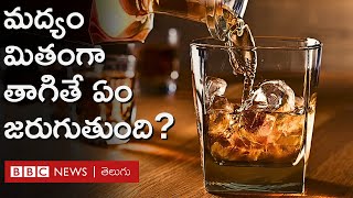 Alcohol Effect మద్యం మితంగా తాగితే ఏమీ కాదన్నది నిజం కాదా మద్యపానం ఎంత ప్రమాదకరం  BBC Telugu [upl. by Navis27]