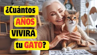 DESCUBRE Cuántos AÑOS Puede VIVIR Tu GATO [upl. by Annayram]