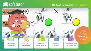 Die 1 Mendelsche Regel – Definition Voraussetzungen amp Beispiele [upl. by Brnaba]