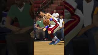 nba game highlights [upl. by Ellirpa]