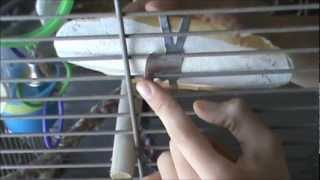 How to Attach a Cuttlebone to a Bird Cage [upl. by Zetnas261]