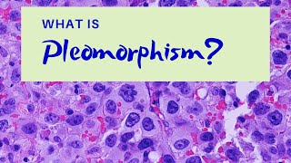 What is Pleomorphism  Pathology mini tutorial [upl. by Newmark]