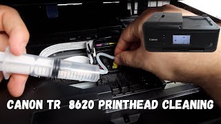 Canon Tr 8620  Printhead Cleaning  Not Printing Black Or Color [upl. by Nedle207]