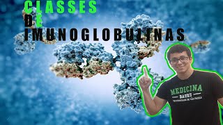 Classes de Imunoglobulinas [upl. by Crysta]