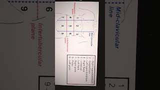 9 REGIONS OF ABDOMEN anatomy abdomen [upl. by Leschen223]