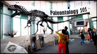 Paleontology 101  Untamed Science [upl. by Barrie]