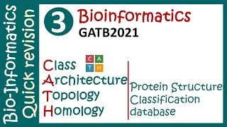 CATH Database  Protein Domains Prediction  Protein structure classification database  GATB2021 [upl. by Hestia324]