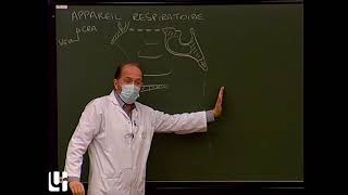 Anatomie générale 5  Appareil respiratoire General anatomy of the respiratory system [upl. by Wicks]