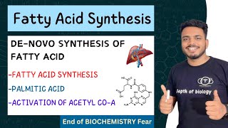 de novo synthesis of fatty acids  biochemistry  palmitic acid synthesis biochemistry sgsir [upl. by Johna]