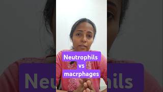 phagocytosis physiology class mbbs1styear physiologyvideos physiologylectures [upl. by Dallman]