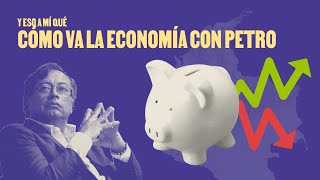 Cómo va la economía con Petro Feat Economía para La Pipol [upl. by Bean]