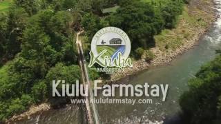 Kiulu Farmstay  A Unique Countryside Experience in Sabah Malaysian Borneo [upl. by Chevy]