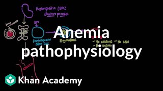 Anemia pathophysiology  Hematologic System Diseases  NCLEXRN  Khan Academy [upl. by Pillsbury]