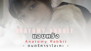 ANATOMY RABBIT  แอบหวัง Daydreamer INSTRUMENTAL KARAOKE AnatomyRabbit2 [upl. by Nidroj]