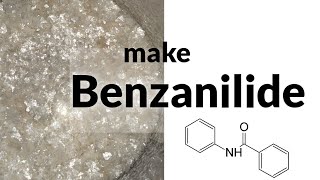 Benzanilide  Schotten Baumann Benzoylation [upl. by Lucias]