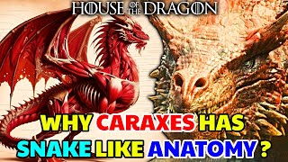 Caraxes Dragon Anatomy – Why Daemons Dragon Has Snake Like Physiology Different Than Other Dragons [upl. by Noakes]