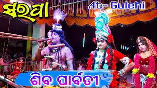 Sarapa Siba Parbati  Odia Danda Nacha Viral Video At Gulehi [upl. by Rahm563]