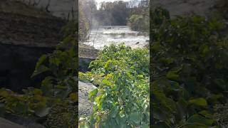 Stunning waterfall walk direct from the campsite aysgarthfalls yorkshire yorkshiredales [upl. by Etnovahs]