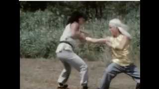 Secret of shaolin kung fu  Final fight scene [upl. by Betteanne668]