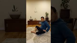 10 Day Hip Mobility Challenge Day 1 Feldenkrais Style [upl. by Duggan]