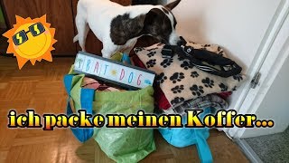 Ich packe Fannies Koffer und nehme mit  Vorbereitung für den Urlaub [upl. by Cato978]