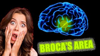 What is BROCAS AREA 😲😵  1 min ⏰ NEUROPSYCHOLOGY [upl. by Fidele]