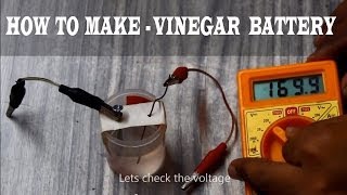 How to make a Vinegar Battery [upl. by Dorison]