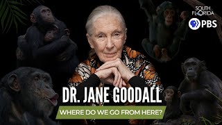 Dr Jane Goodall A Legendary Conservationist with a Message of Hope [upl. by Guinn]