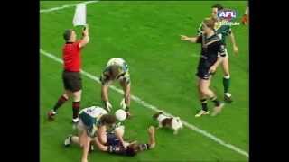 Dog invades International Rules match  AFL [upl. by Baalman121]