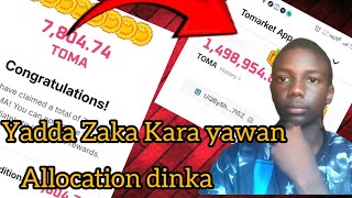 Yadda Zaka Kara allocation dinka a tomarket Kafin listing [upl. by Rika]