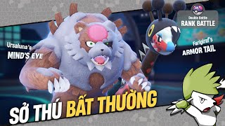 Giác ngộ trước Team HỆ THƯỜNG  Rank Battle  Shaymin Ahhh [upl. by Hnilym]