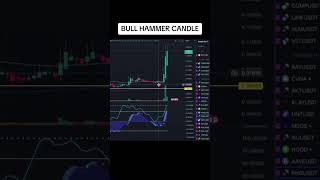 Bull Hammer Candle 📈 tradingstrategy tradingview overkilltrading bitcoin cryptocurrency [upl. by Blithe]