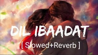 Dil Ibaadat SlowedReverb KK  Tum Mile  Textaudio [upl. by Ahsuat]