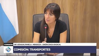 COMISIÓN EN VIVO TRANSPORTES  20 de noviembre de 2024  TEMAS VARIOS  Diputados Argentina [upl. by Aik]