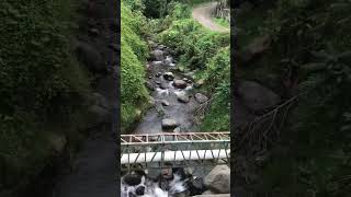 SOTARÁ CAUCA 🍃 un pueblo mágico en las montañas del Cauca [upl. by Hajidahk706]