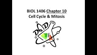 Chapter 10 Cell Cycle and Mitosis [upl. by Yzzo290]